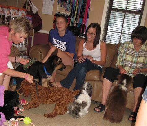 Puppy socialization classes. Things To Know About Puppy socialization classes. 